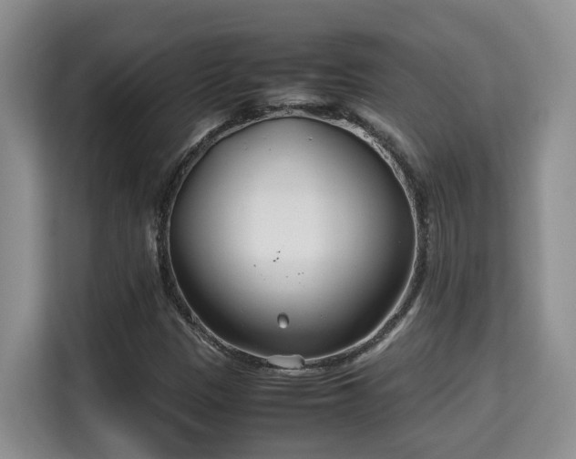 X0000115741305200911191437