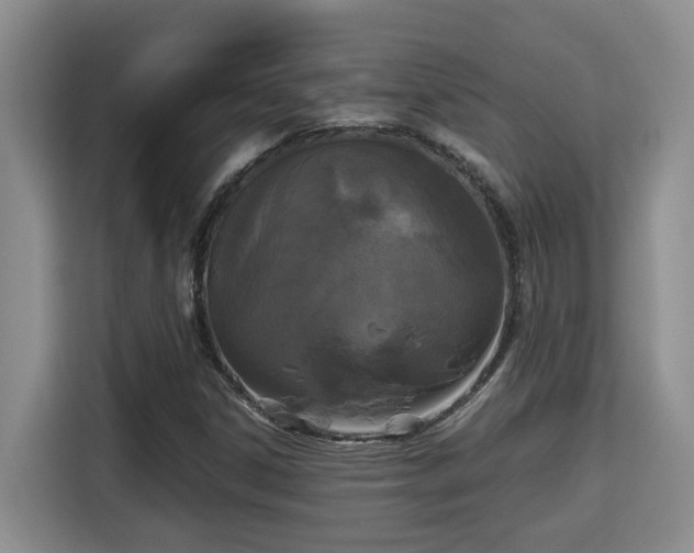 X0000115741306200911191437