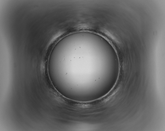 X0000115741309200911191437