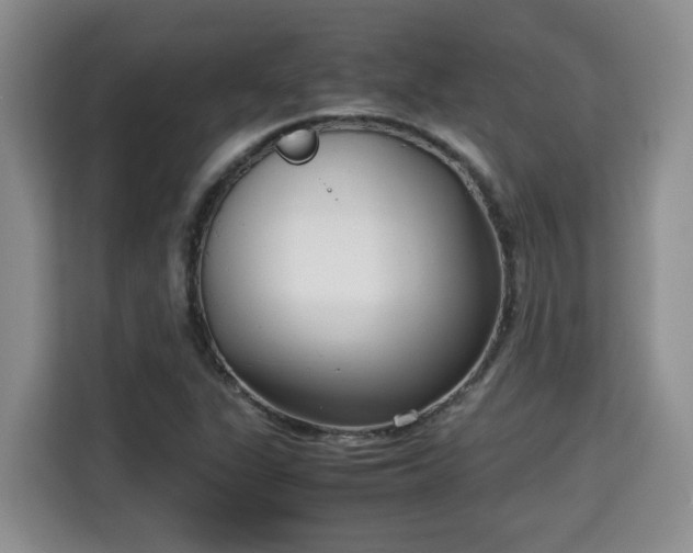 X0000115741311200911191437