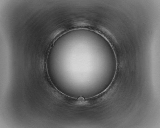 X0000115741313200911191437