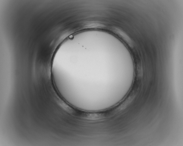 X0000115741322200911191437