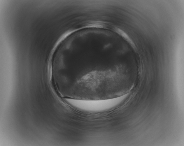 X0000115741323200911191437