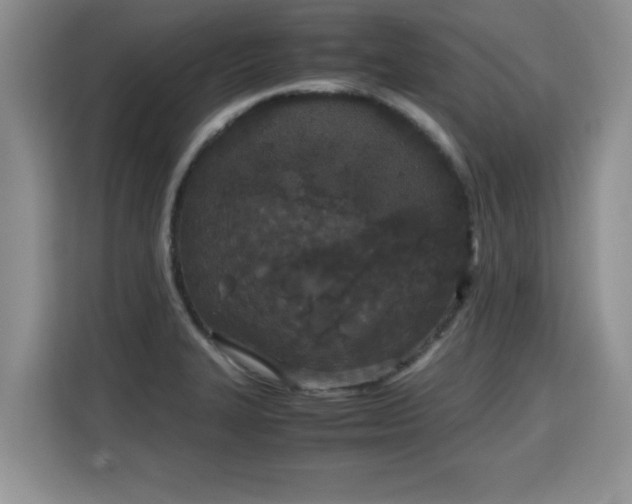 X0000115741327200911191437