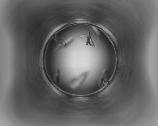 X0000115741333200911191437