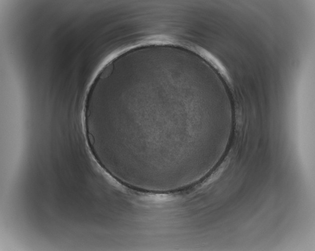 X0000115741334200911191437