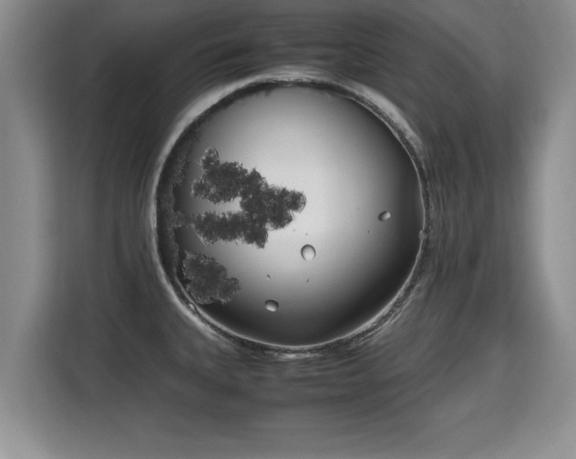 X0000115741335200911191437