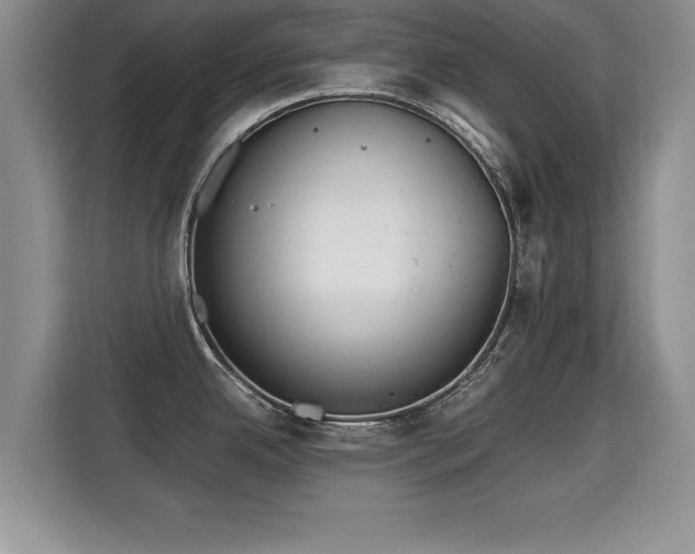 X0000115741342200911191438