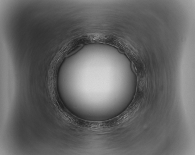 X0000115741345200911191437