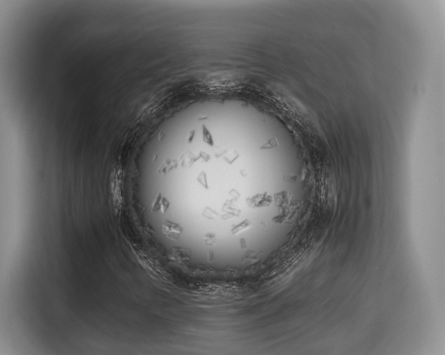 X0000115741346200911191437