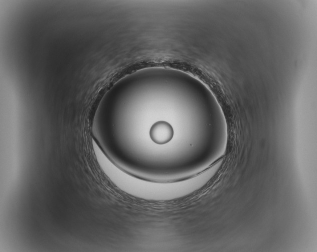 X0000115741349200911191437