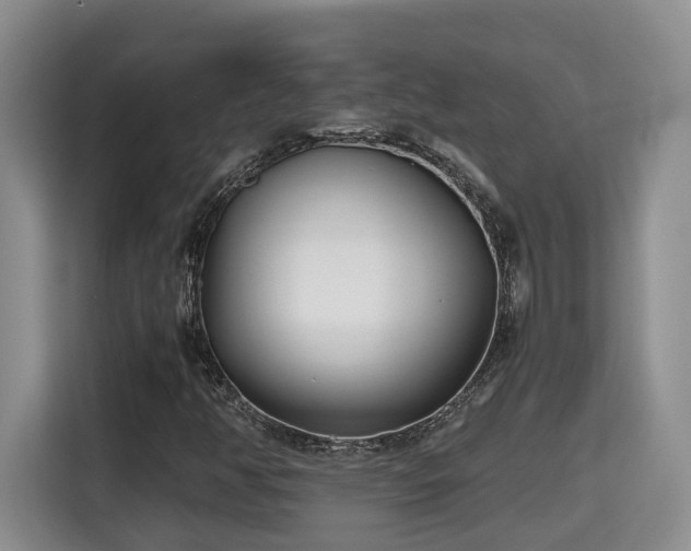 X0000115741350200911191437