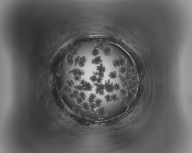 X0000115741351200911191437