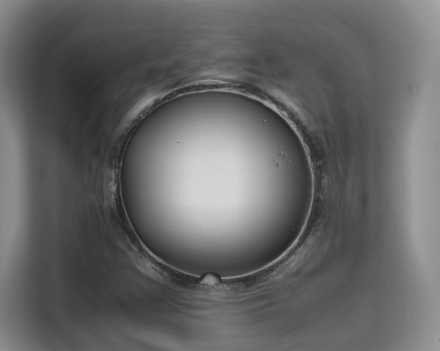 X0000115741355200911191437