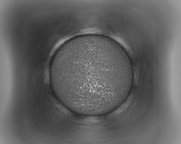 X0000115741358200911191437