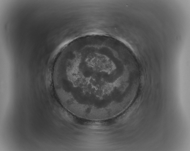 X0000115741359200911191437