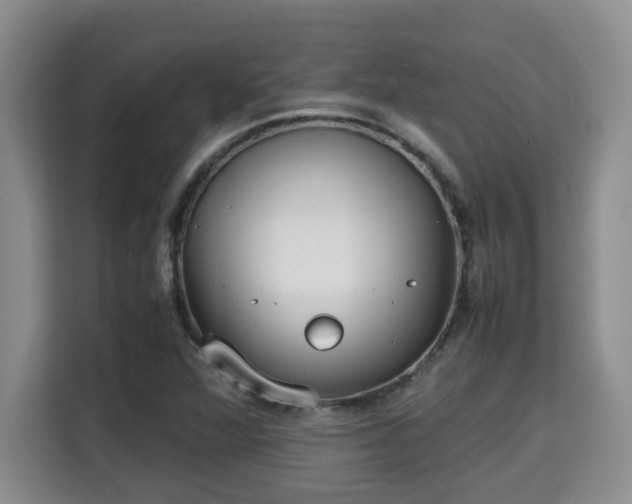 X0000115741360200911191437