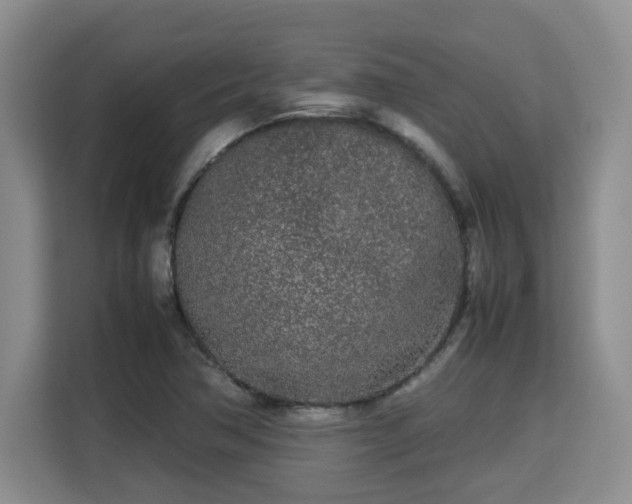 X0000115741362200911191437