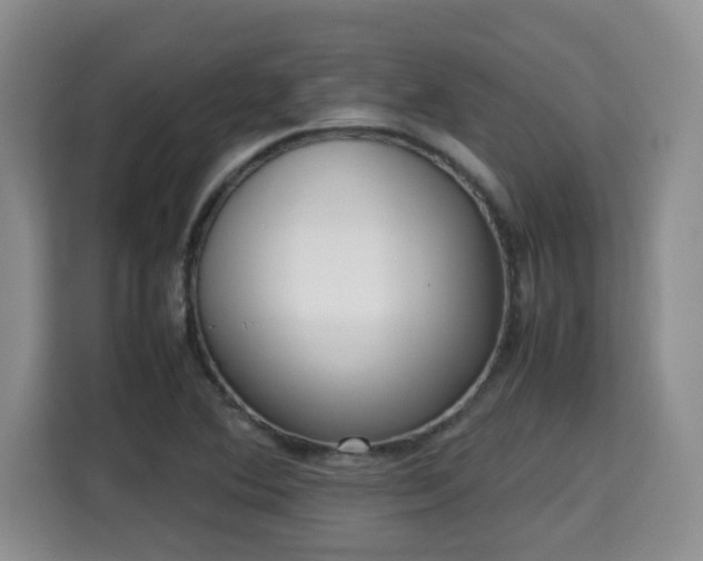 X0000115741364200911191437