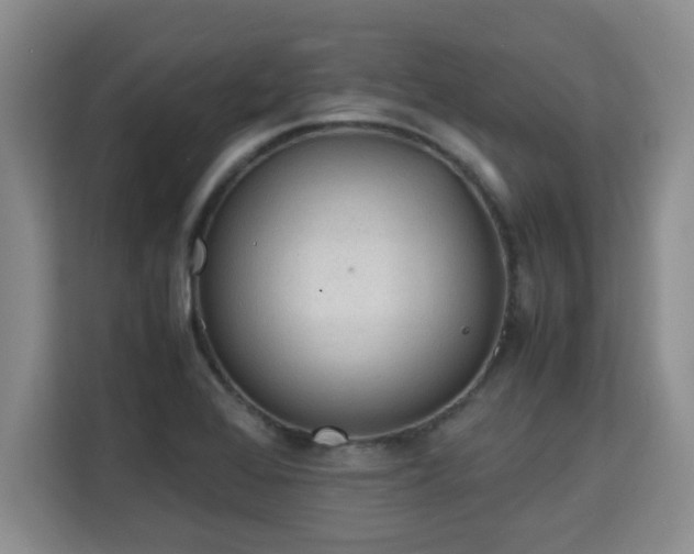 X0000115741368200911191437