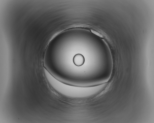 X0000115741369200911191437