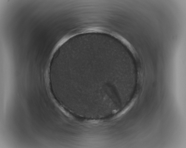 X0000115741373200911191437