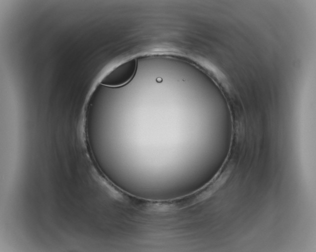 X0000115741374200911191437