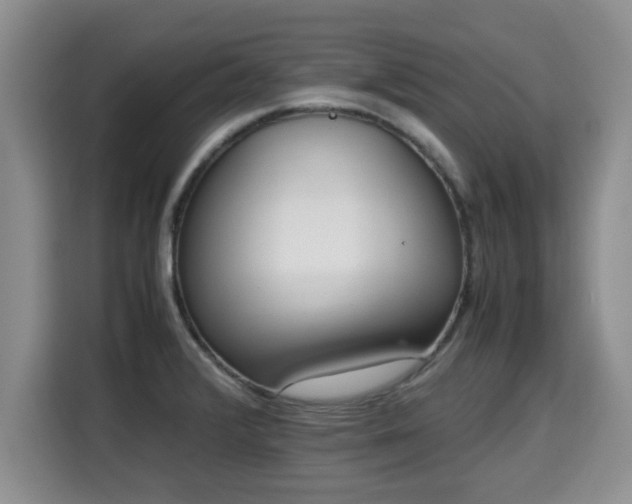 X0000115741376200911191437