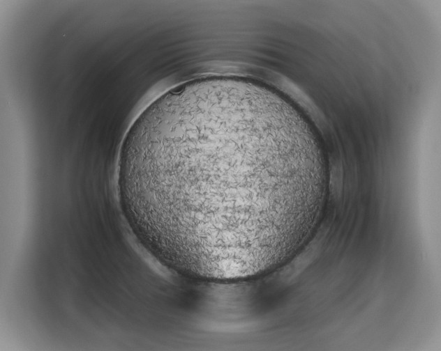 X0000115741378200911191436