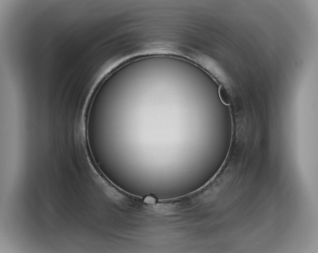 X0000115741380200911191436