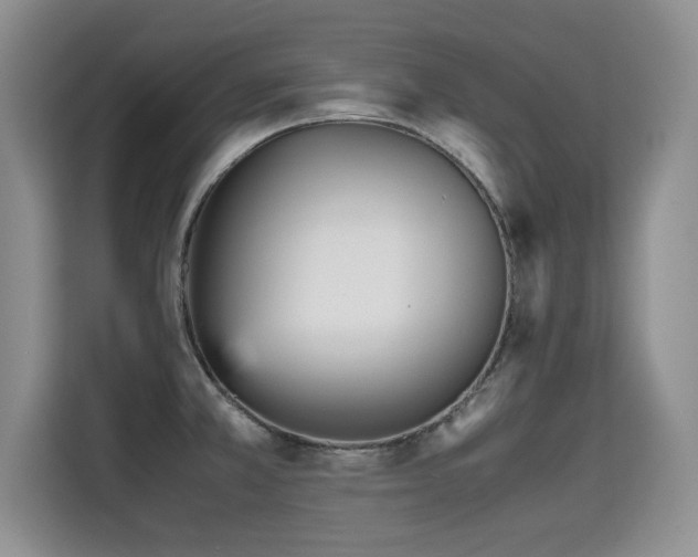 X0000115741381200911191436