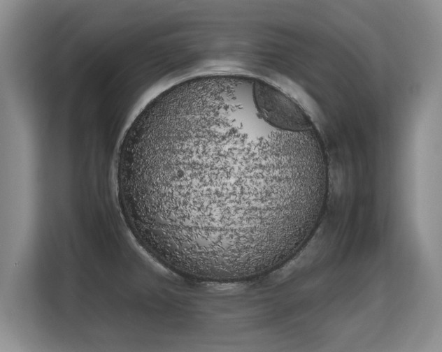 X0000115741382200911191436