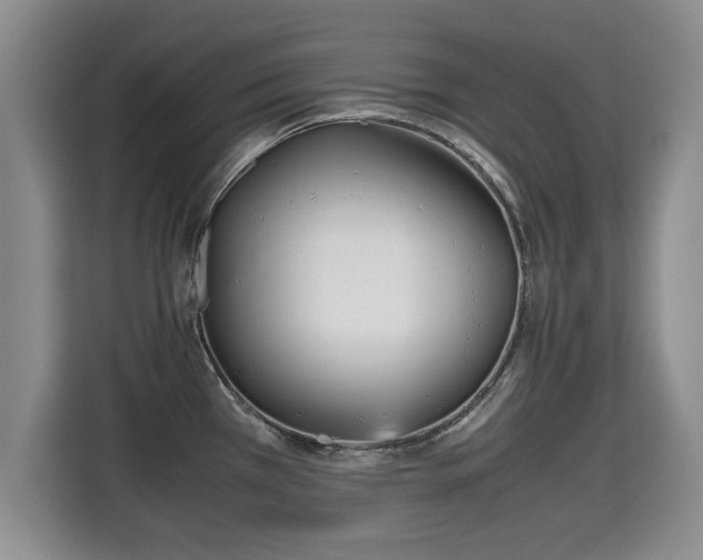 X0000115741385200911191436