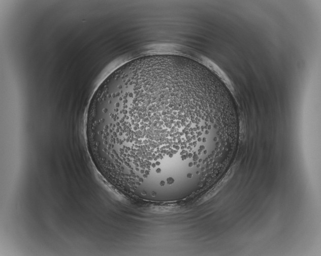 X0000115741386200911191436