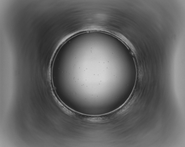 X0000115741388200911191436