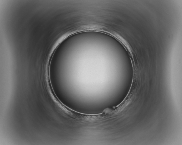 X0000115741389200911191436