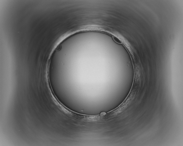 X0000115741390200911191436