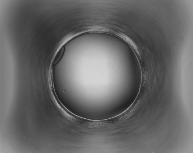 X0000115741391200911191436