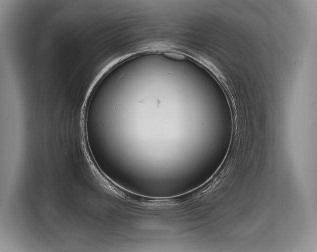 X0000115741392200911191436