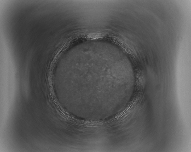 X0000115741393200911191436