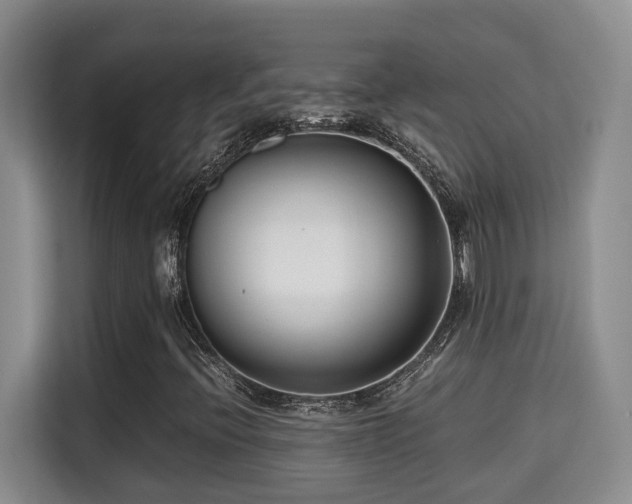 X0000115741396200911191436