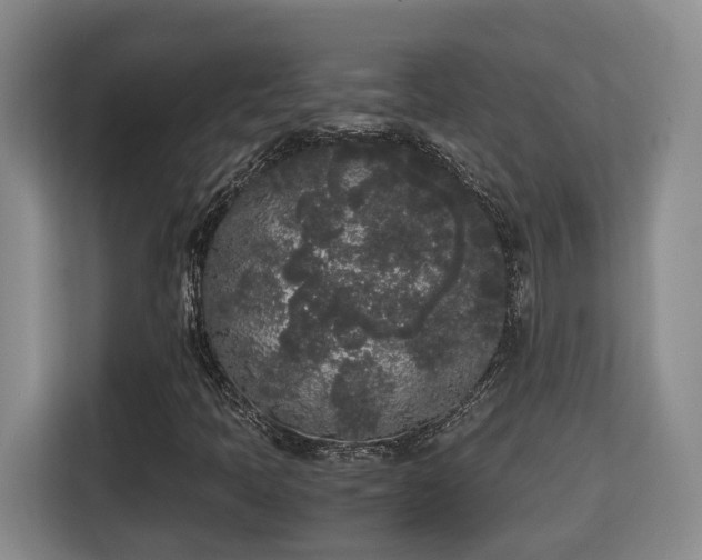 X0000115741397200911191436