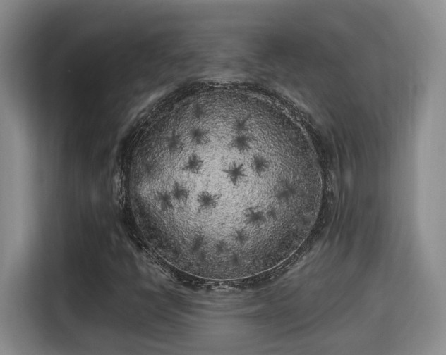 X0000115741398200911191436