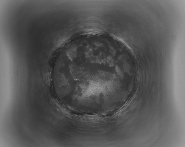 X0000115741399200911191436