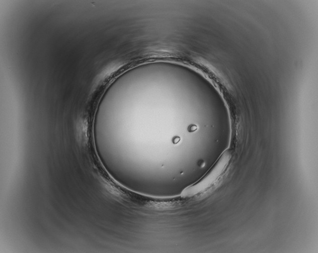 X0000115741402200911191436