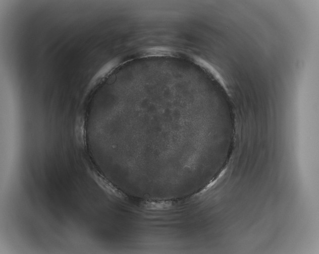 X0000115741403200911191436