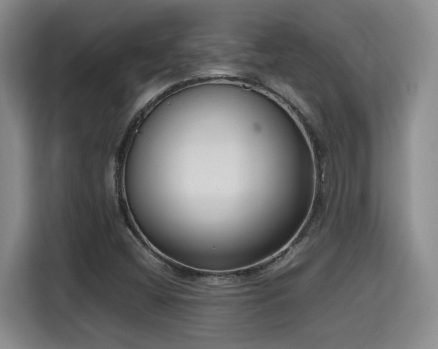 X0000115741404200911191436