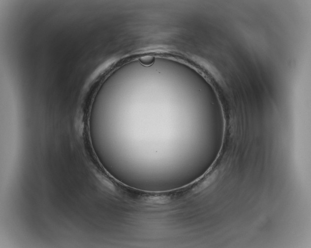 X0000115741406200911191436