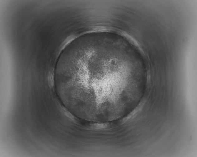 X0000115741409200911191436