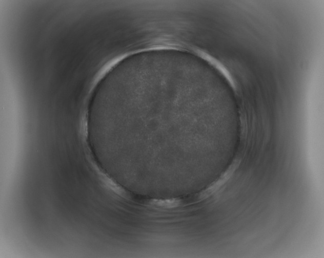 X0000115741415200911191436